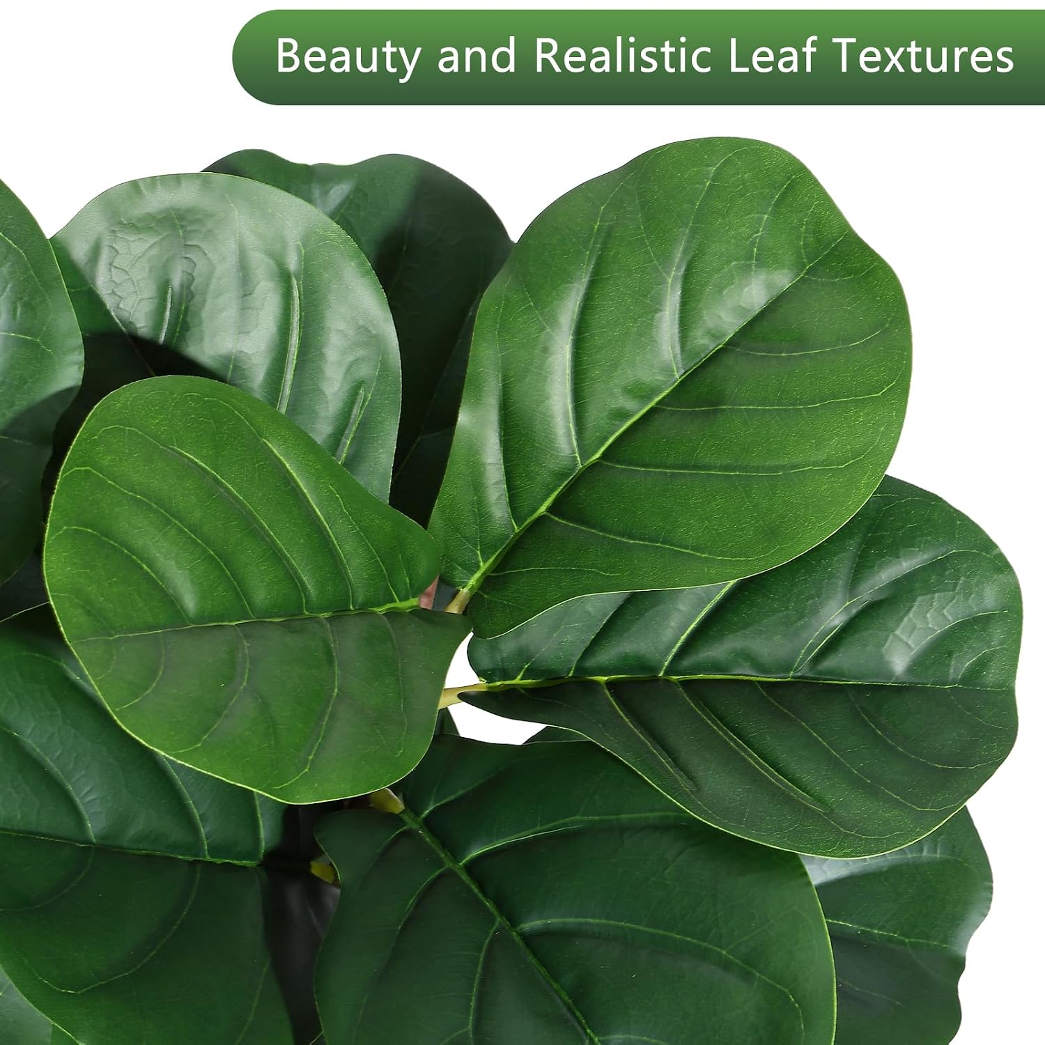 شجرة تين فيدل ليف اصطناعية بار - مراجعة Ficus Lyrata Tree وسعره